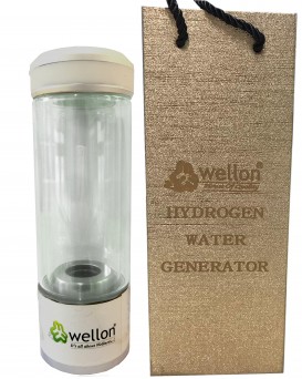 WELLON SPE PEM Hydrogen Generator Water Bottle SPE PEM Technology Ionizer High Concentration Discharge Ozone and Chlorine. (Silver)